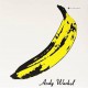 & Nico - Andy Warhol (LP) Limited !