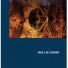 Landscapes (10')