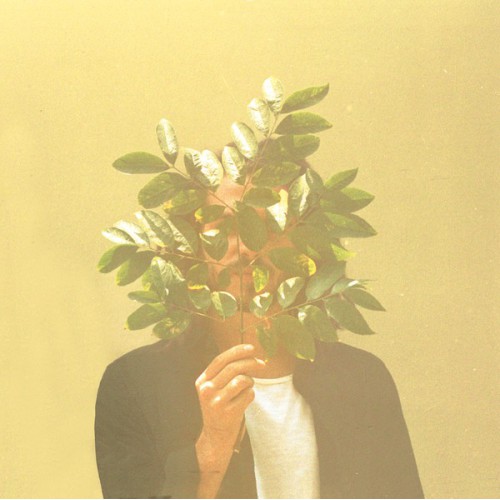 French Kiwi Juice (2LP)