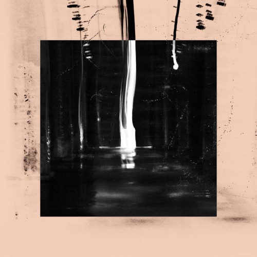 Into The Dew (LP)