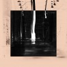 Into The Dew (LP)
