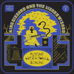 Flying Microtonal Banana (LP)