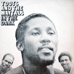 In The Dark (LP)