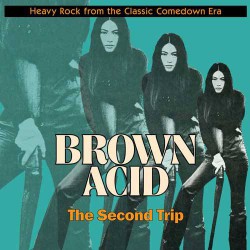 Brown Acid : The Second Trip (LP)