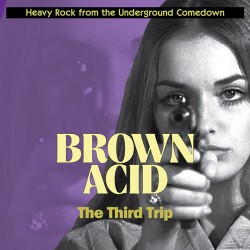 Brown Acid : The Third Trip (LP)