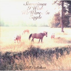 Sometimes I Wish We Were An Eagle (LP)