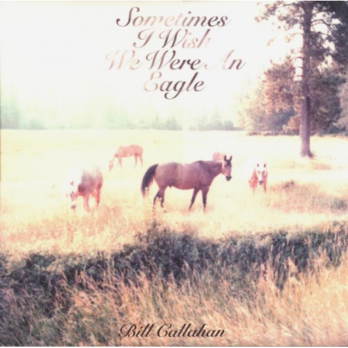 Sometimes I Wish We Were An Eagle (LP)