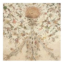 Heartbeat Of The Death (LP)