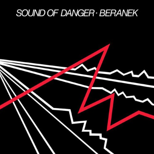 Sound Of Danger (LP)