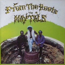 From The Roots (LP) Couleur