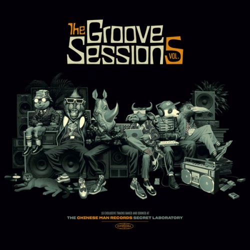The Groove Sessions Vol.5 (2LP)