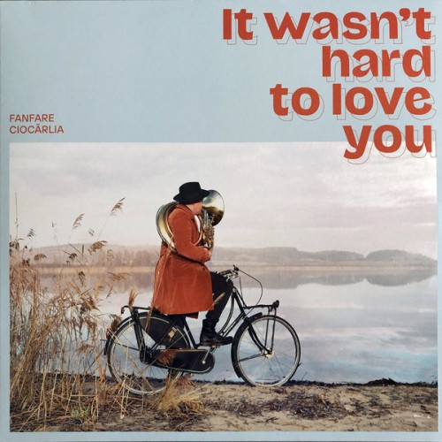 It Wasn't Hard To Love You (LP)