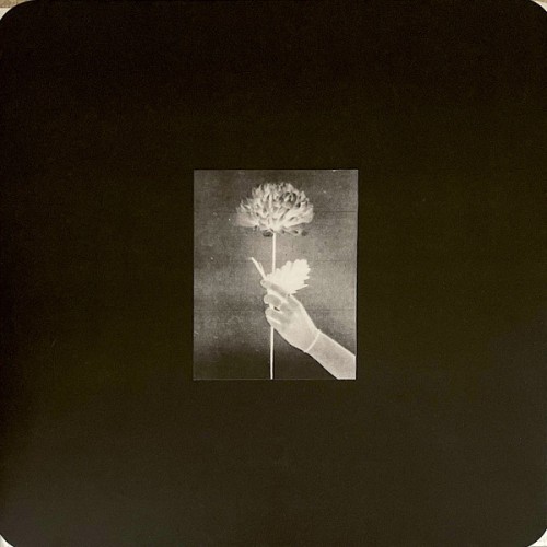 Day By Day (LP) coloured