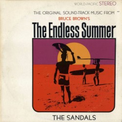 The Endless Summer (LP) couleur