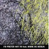 IDPNT feat. Marie De Berlin (LP)