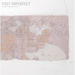 Past Imperfect: The Best of Tindersticks... (2LP)