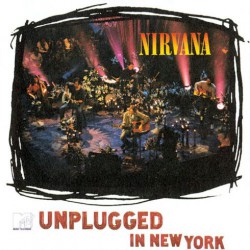 MTV unplugged in New York (LP)
