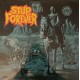 Stup Forever (2LP)