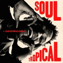 Soul Tropical (LP)