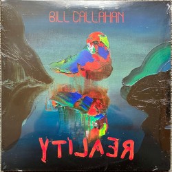 Ylilaer (2LP)