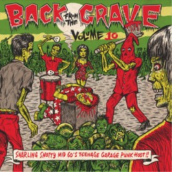 Back From The Grave Vol.10 (LP)