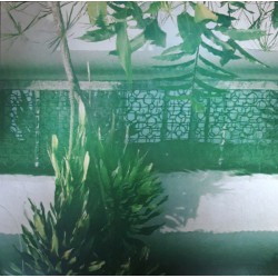 Discipline (2LP)