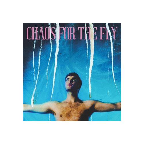 Chaos For The Fly (LP)