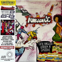 One Nation Under A Groove (2LP) couleur