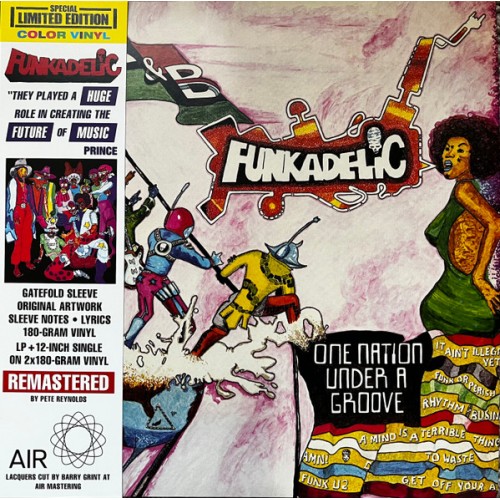 One Nation Under A Groove (2LP) couleur