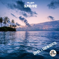 Sunshine : Remix & Breaks (LP)