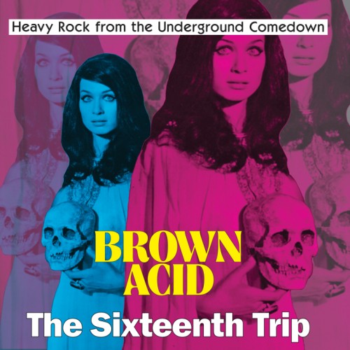 Brown Acid - The Sixteenth Trip (LP)