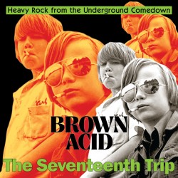Brown Acid - The Seventeenth Trip (LP)