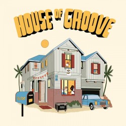 House Of Groove (LP)