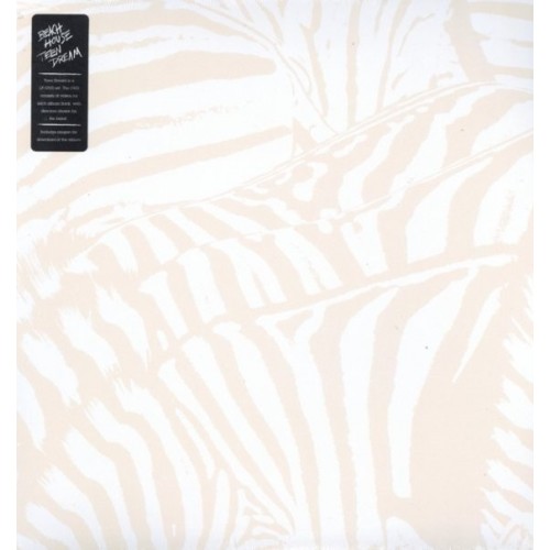 Teen Dream (2LP)