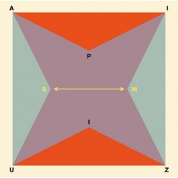 SM (2LP)