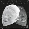 Harnessed The Storm (2LP) white