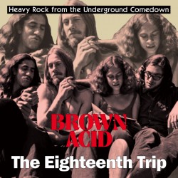 Brown Acid: The Eighteenth Trip (LP)