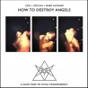 How To Destroy Angels (LP) couleur