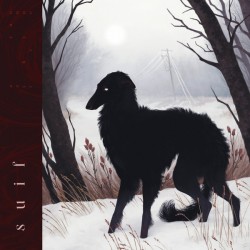 A Run On Thin Ice (LP)