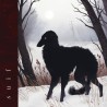 A Run On Thin Ice (LP)
