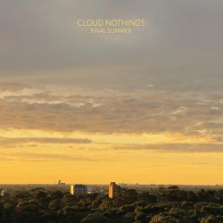 Final Summer (LP)