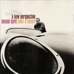 A New Perspective (LP)