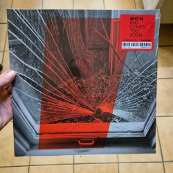 End Comes Too Soon (LP)