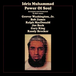 Power Of Soul (LP)