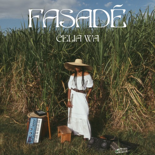 Fasade (LP)