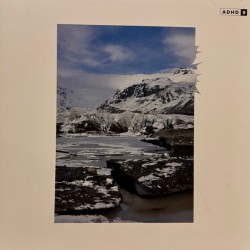 9 (LP)