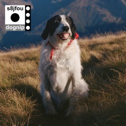Dognip (LP)