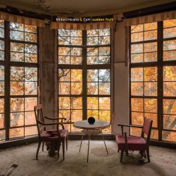 Sudden Fruit (LP)