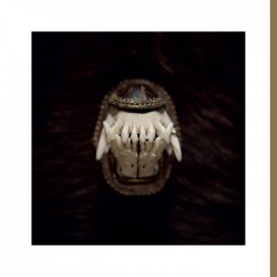 De Toorn (EP) couleur