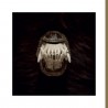 De Toorn (EP) couleur
